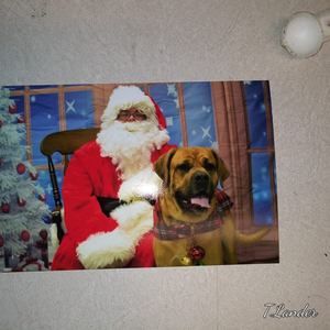 Meet your Posher, Terri